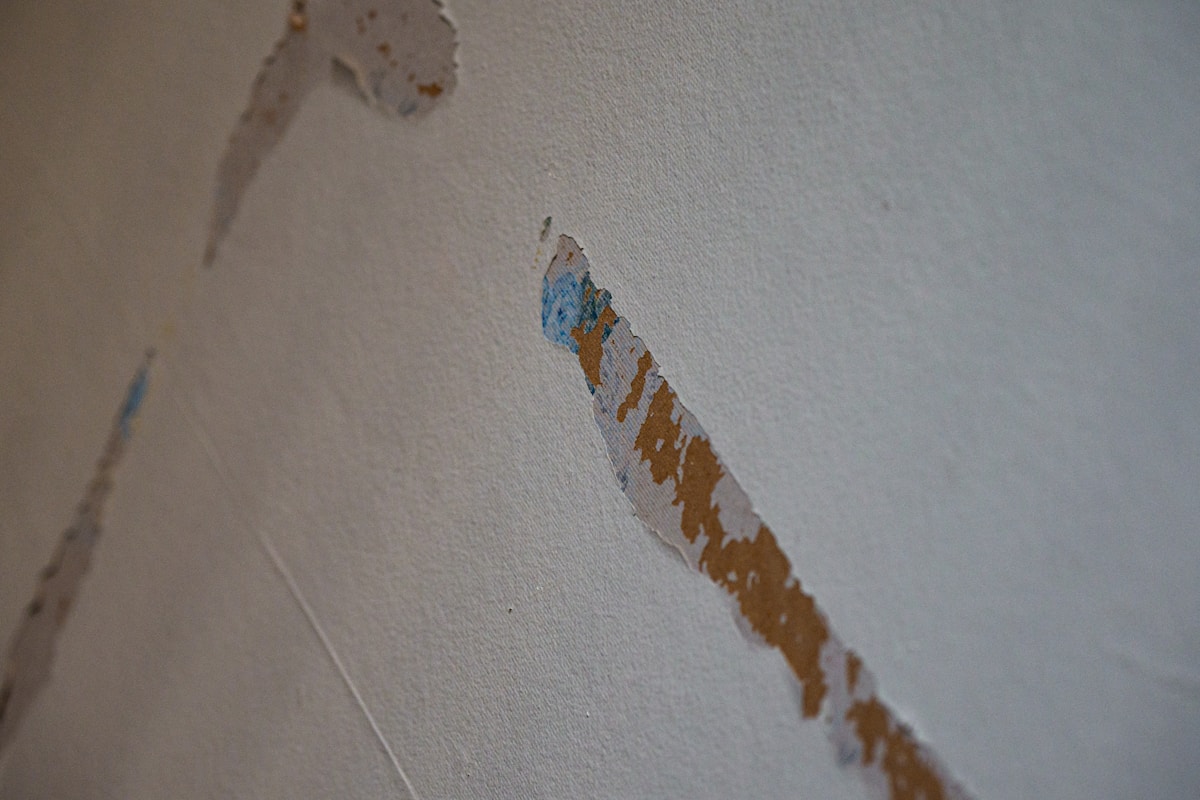 Sewage Cleanup service in Topeka, KS